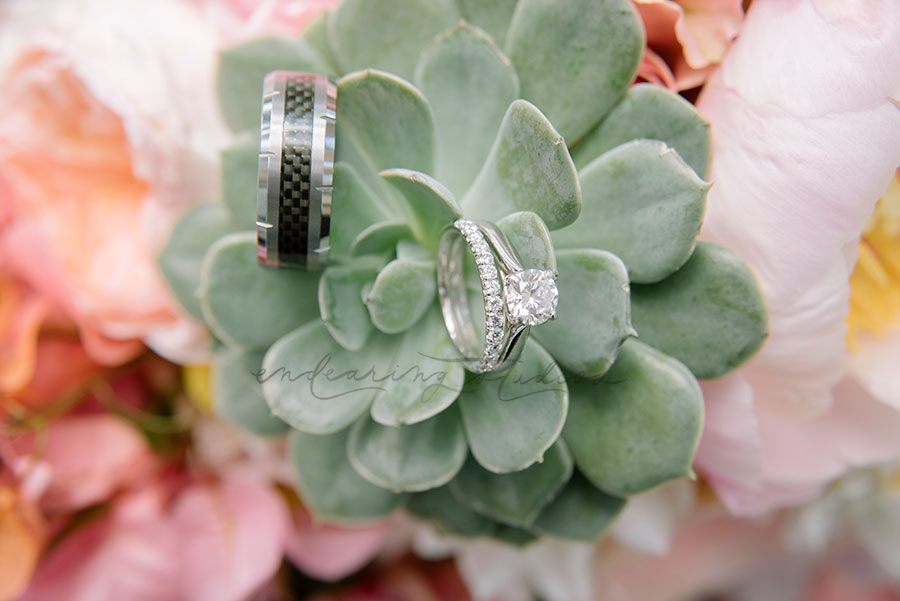 Coconut Palm Inn Wedding