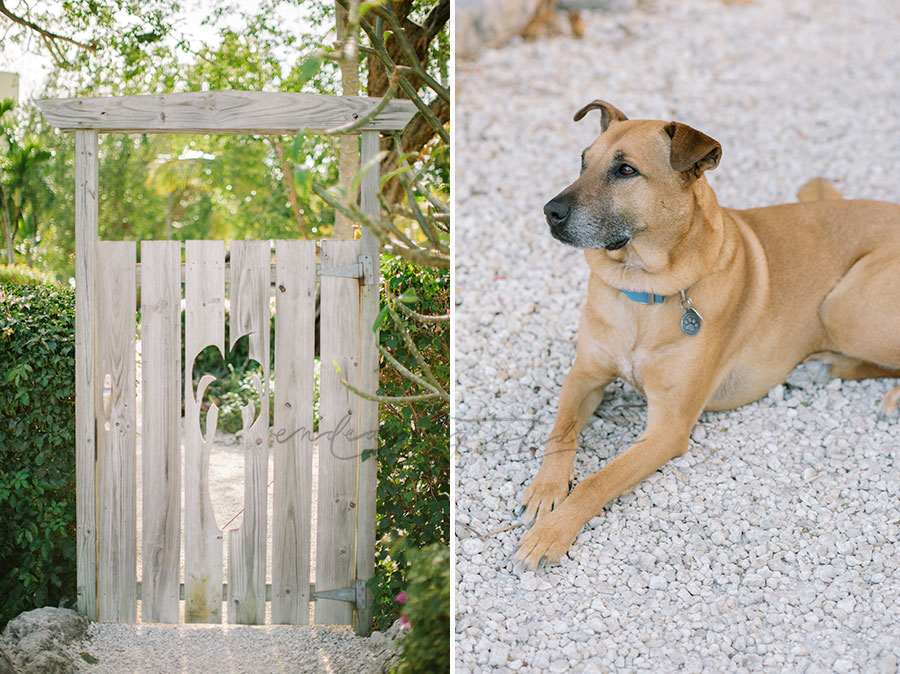 Coconut Palm Inn Wedding Ceremony